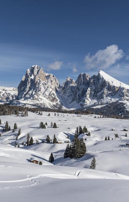 Paradiso invernale sull'Alpe di Siusi nelle Dolomiti